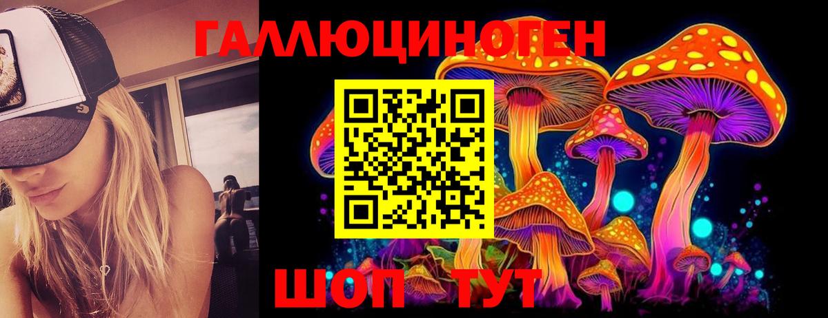 как найти   Вход с VPN  Губкин  Галлюциногенные грибы прущие грибы 
